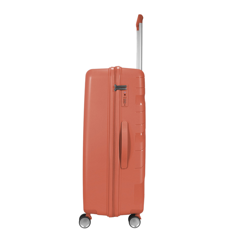 Travel Luggage Collections Bulk Sale